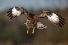 Lądowanie na weekend 