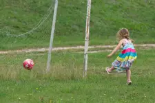 Gol