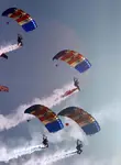 RAF Falcons