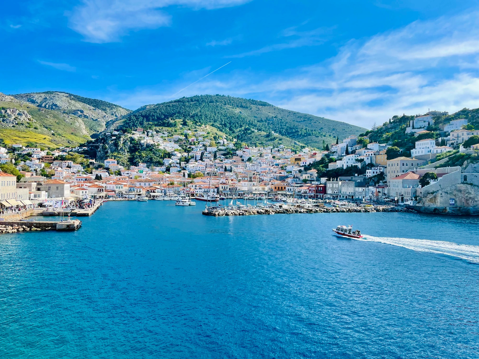 Hydra