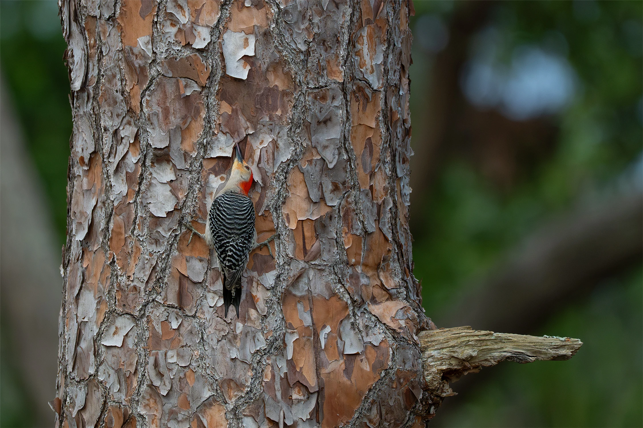 niewygodnie, ale warto!