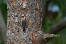 niewygodnie, ale warto!