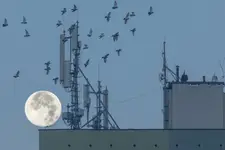 Nienaturalny satelita