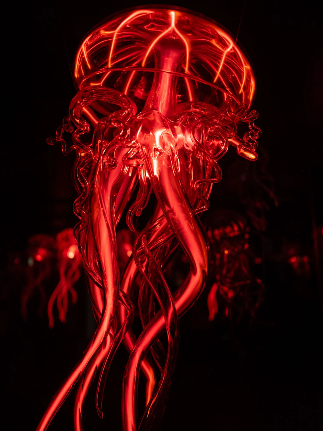 MEDUZA