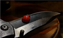 Czasem niektóre sprawy trzeba postawić na ostrzu noża.