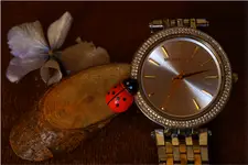 Która u Ciebie godzina?