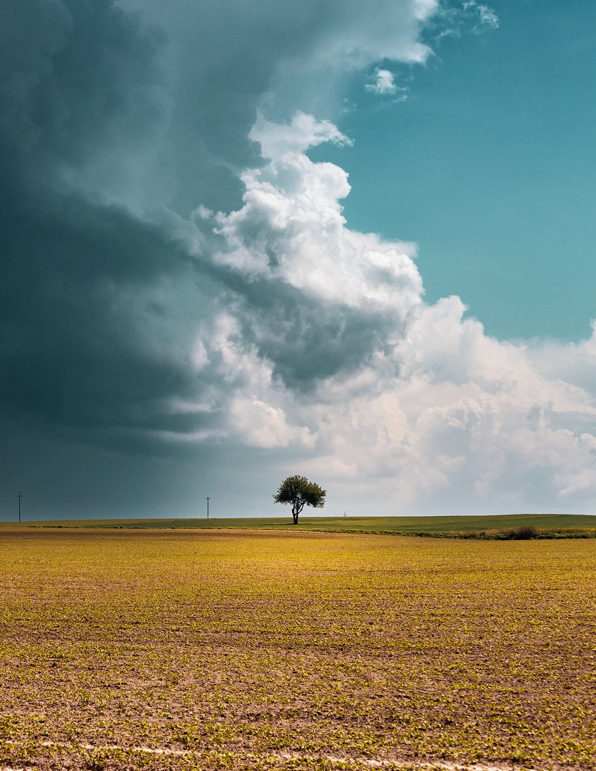 Samotny strażnik