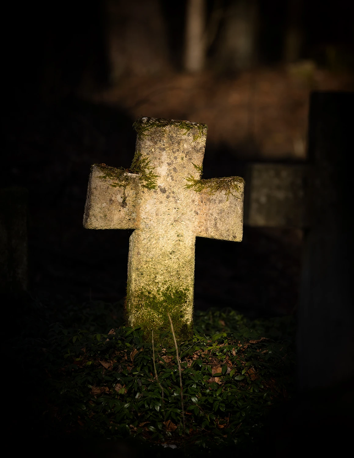 Stare Brusno - podkarpackie