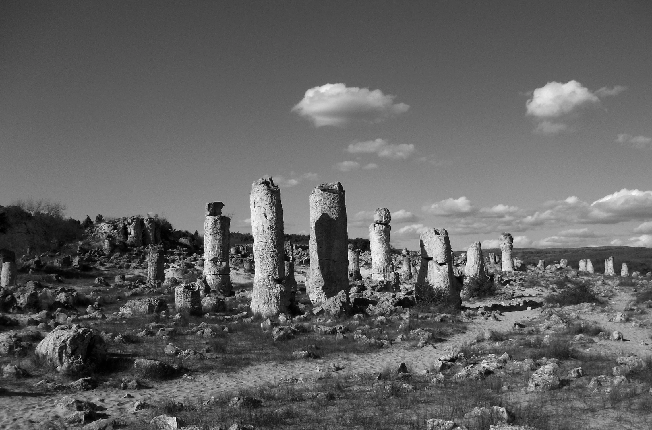 Stone forest