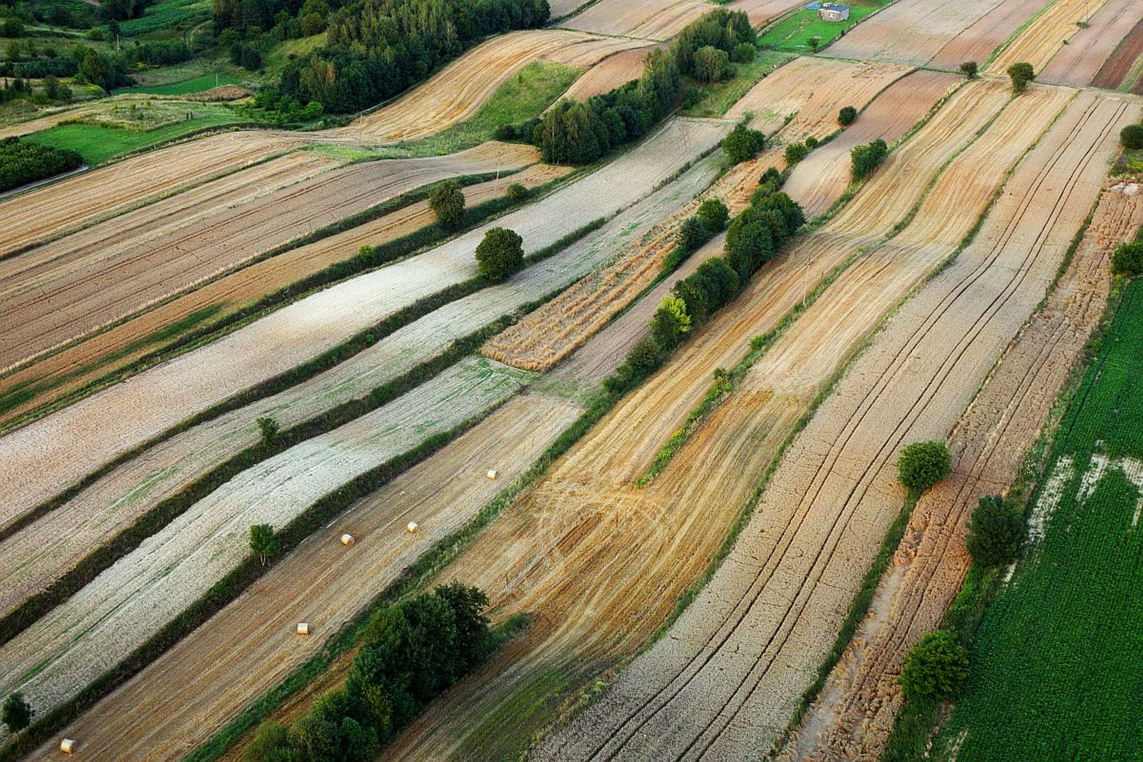 Roztocze