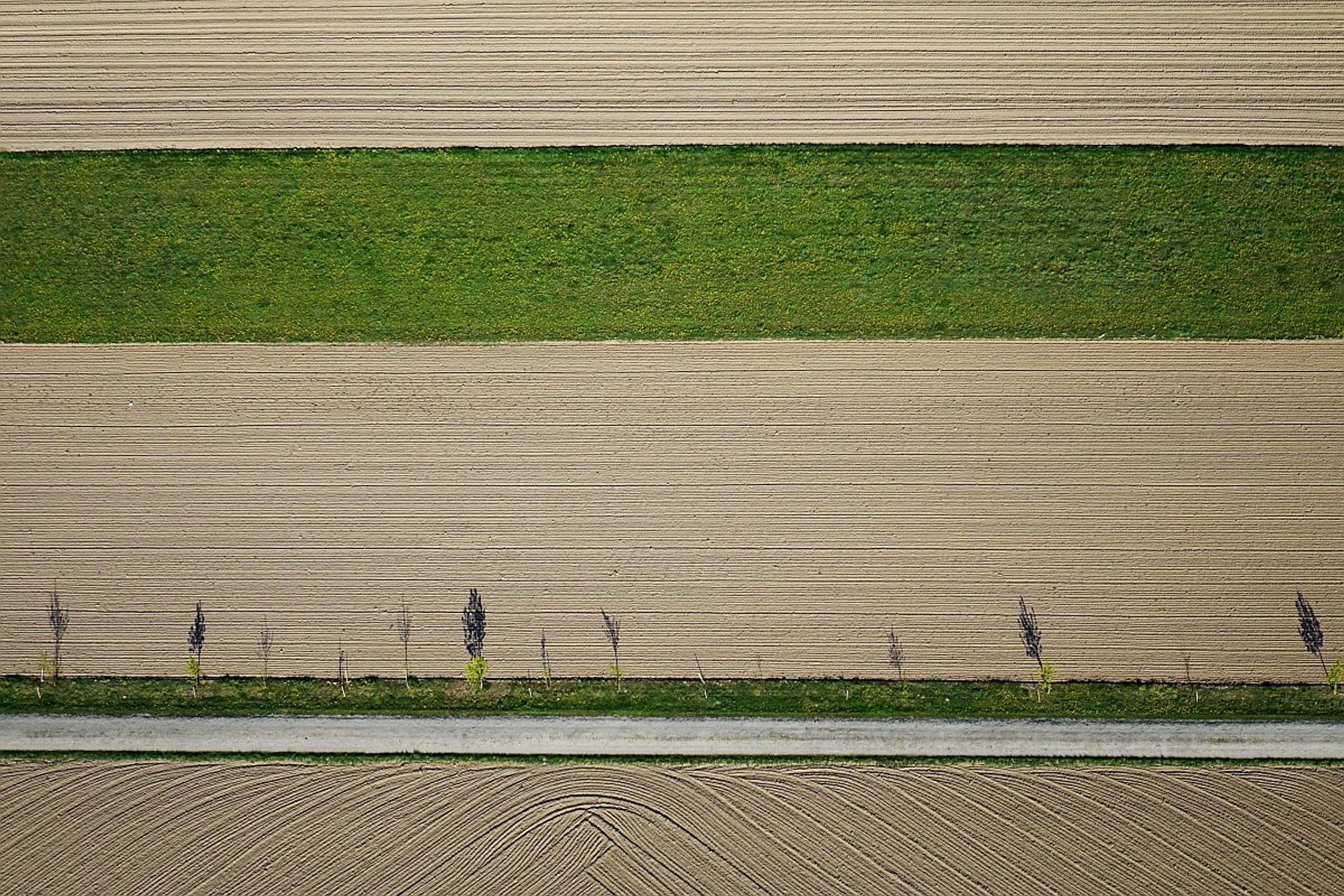 Zapałki…