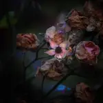 nawet po śmierci widać ślady urody