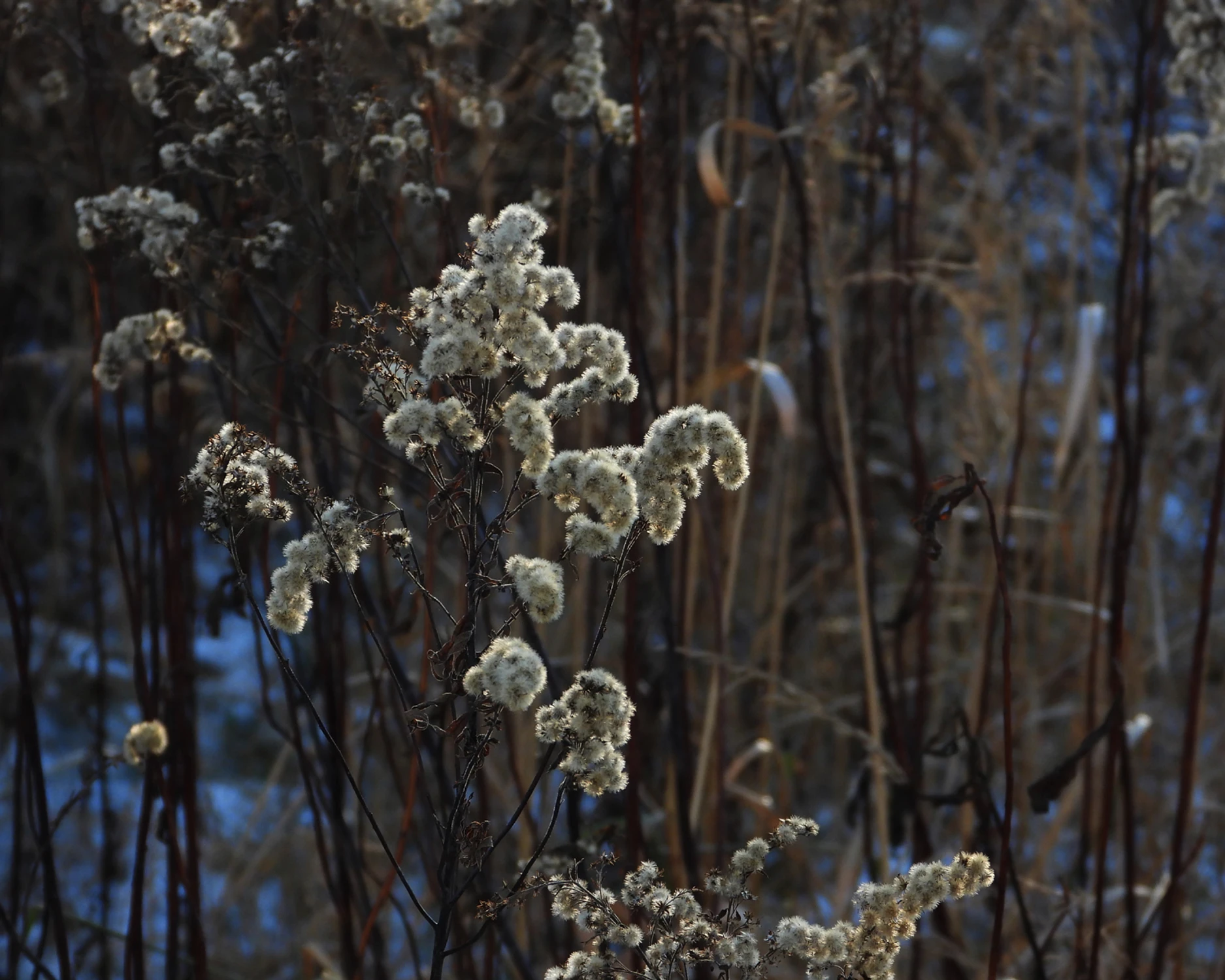 Jeszcze szaro, ale będzie zielono