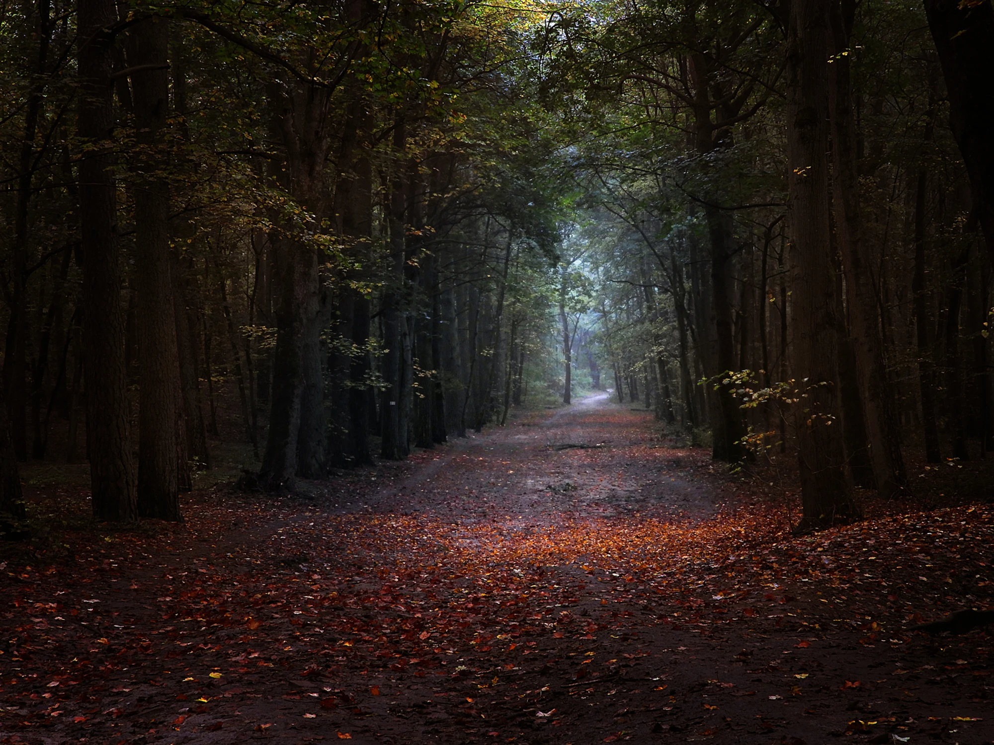 Dokąd ta droga prowadzi?