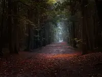 Dokąd ta droga prowadzi?