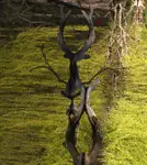 wodno-lądowe (po)twory