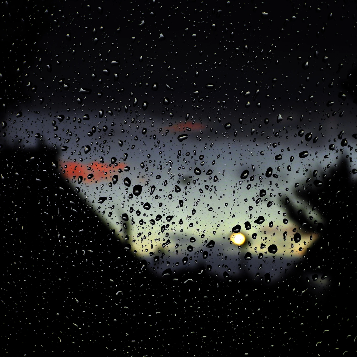 Po wieczornym deszczu