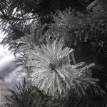 w kryształowej otoczce