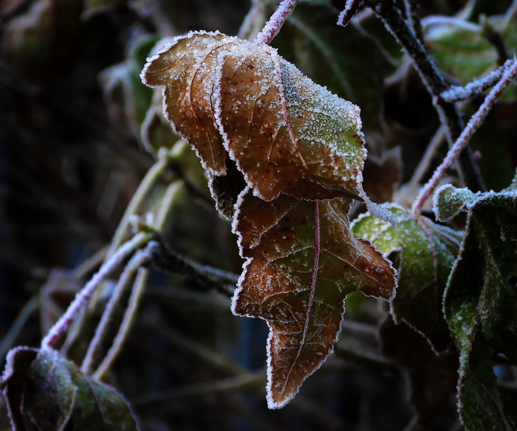 wspomnienie czy jeszcze nas zaskoczy?