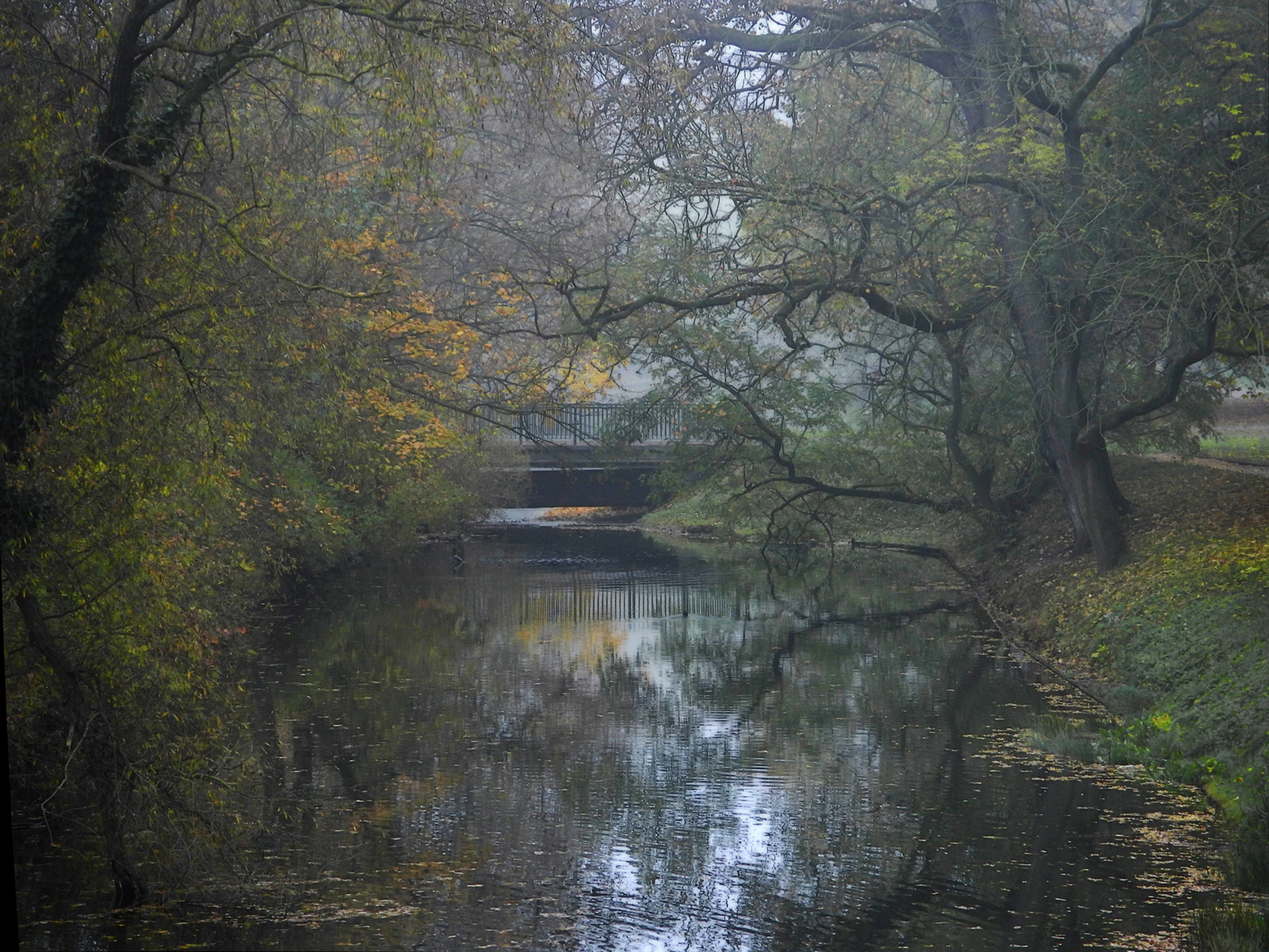 Mostek nad Rusałką