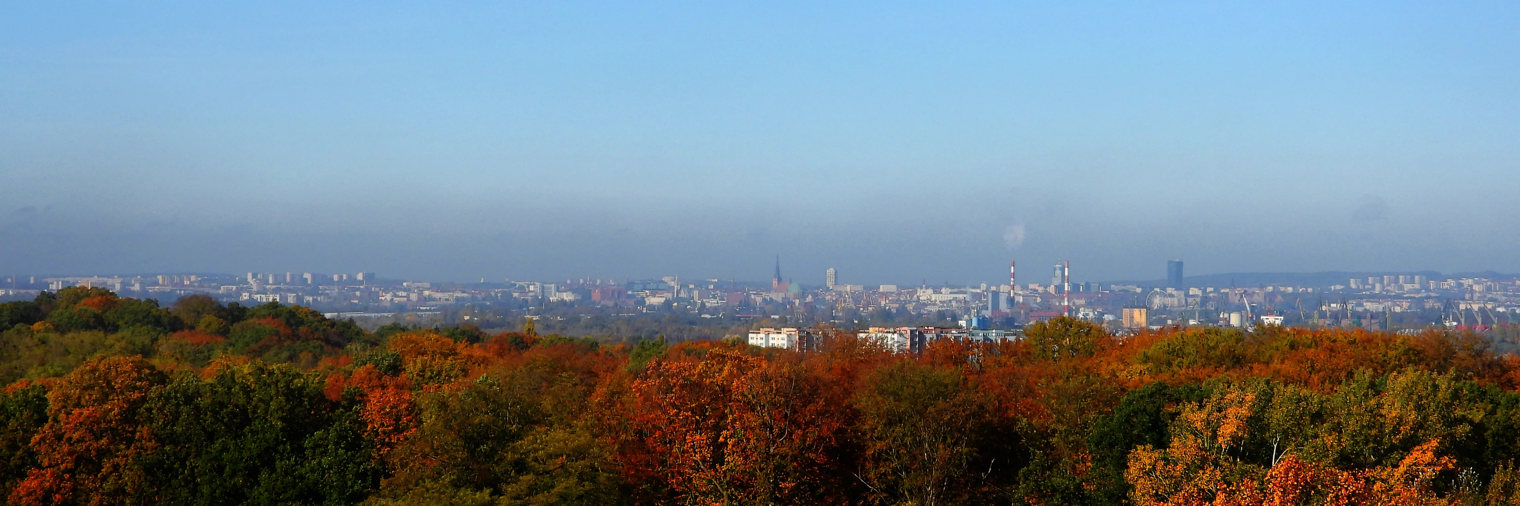 Moje Miasto