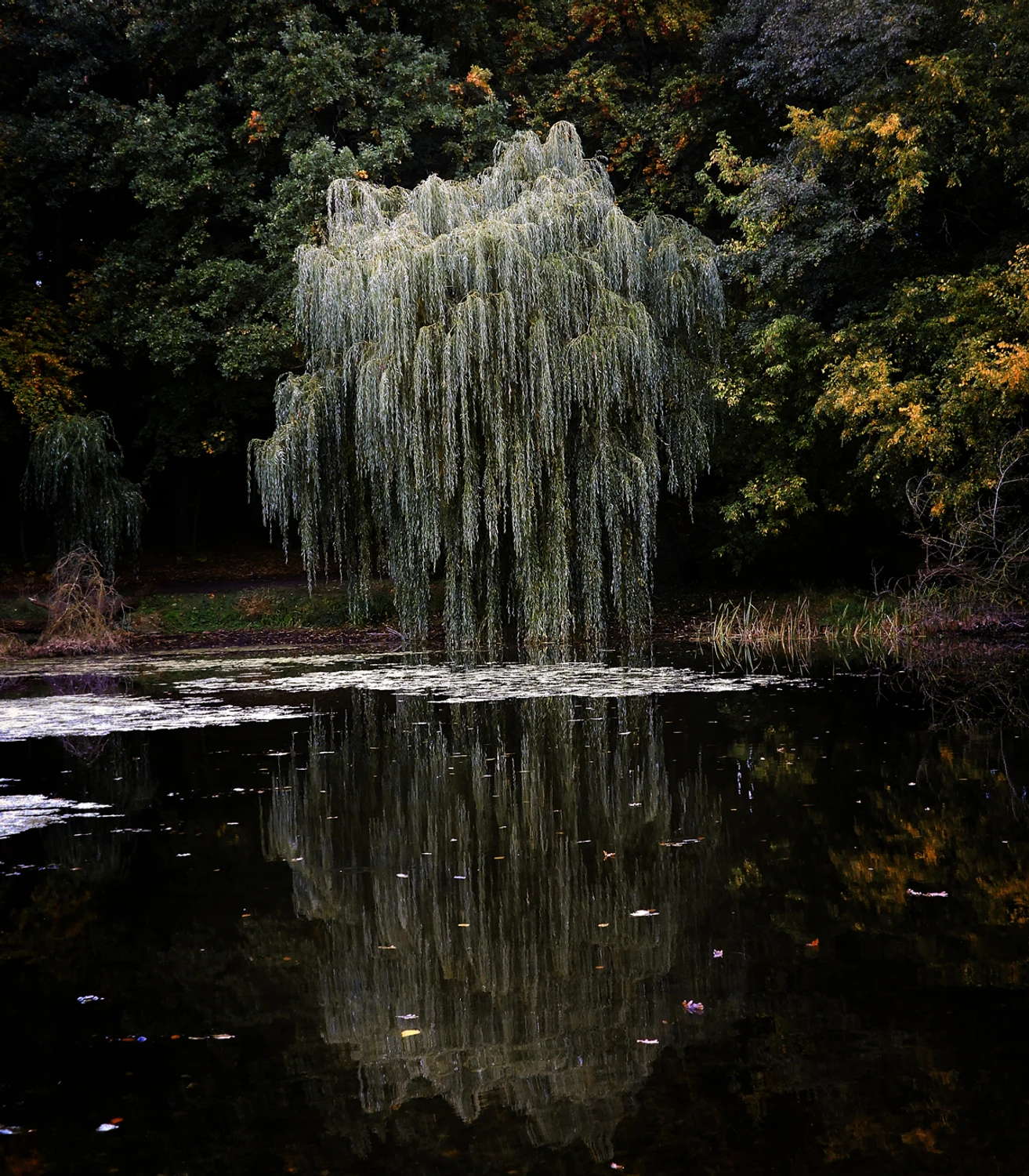 Płakała nad wodą czarną