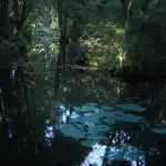 U źródeł niebieskich