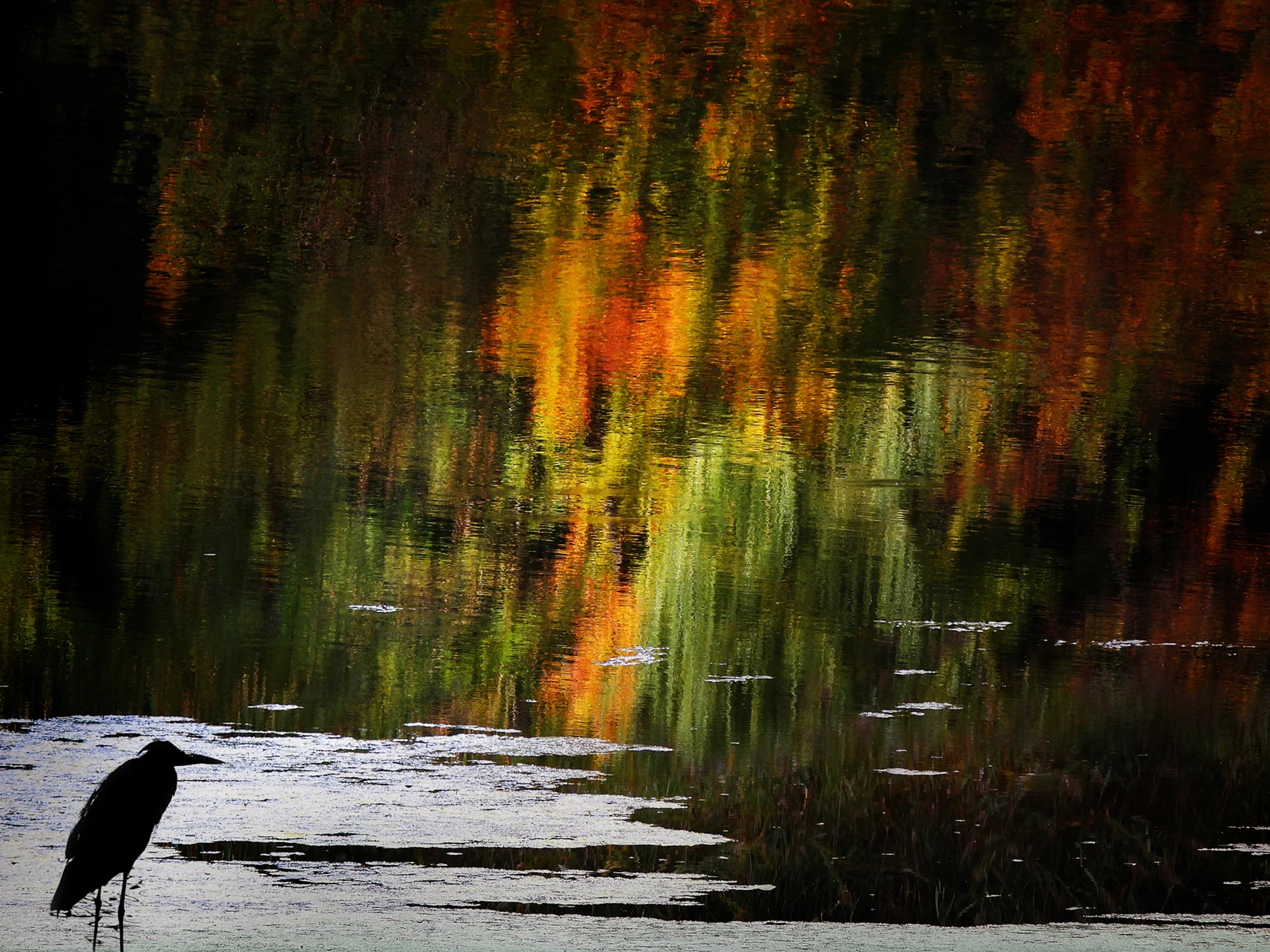 W zwierciadle jesieni