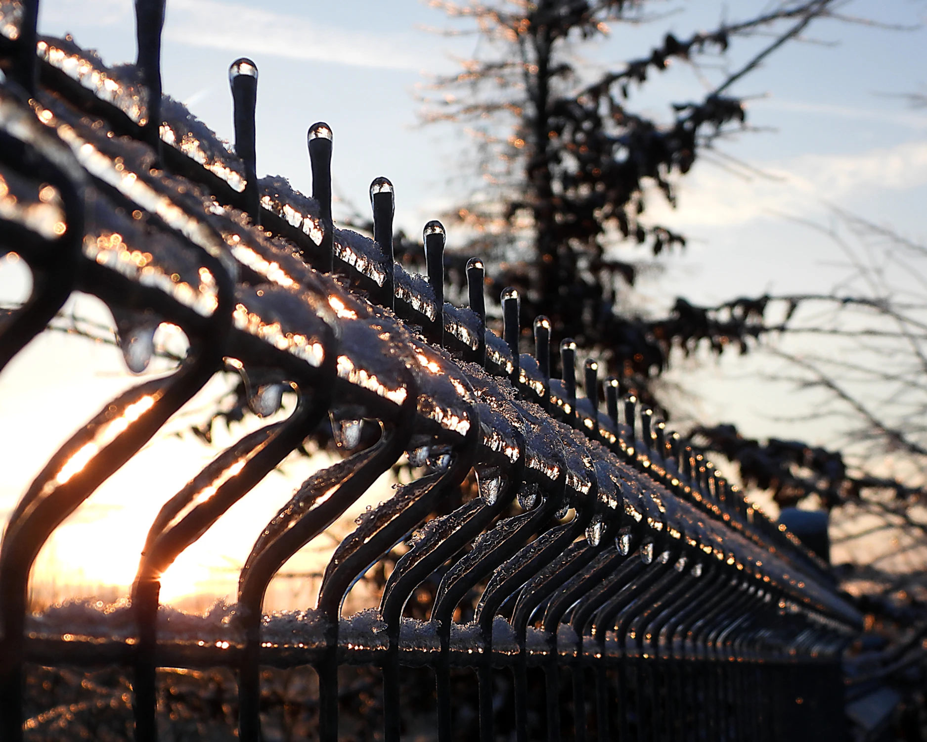 Perspektywa lodowej przyszłości