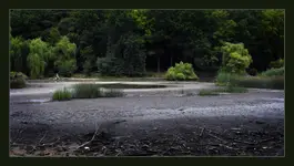 Gdzie ta woda? III
