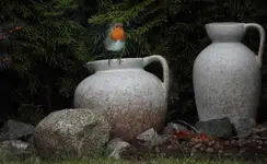 Który miała Alina, a który Balladyna?