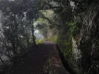 Lewadowy widok