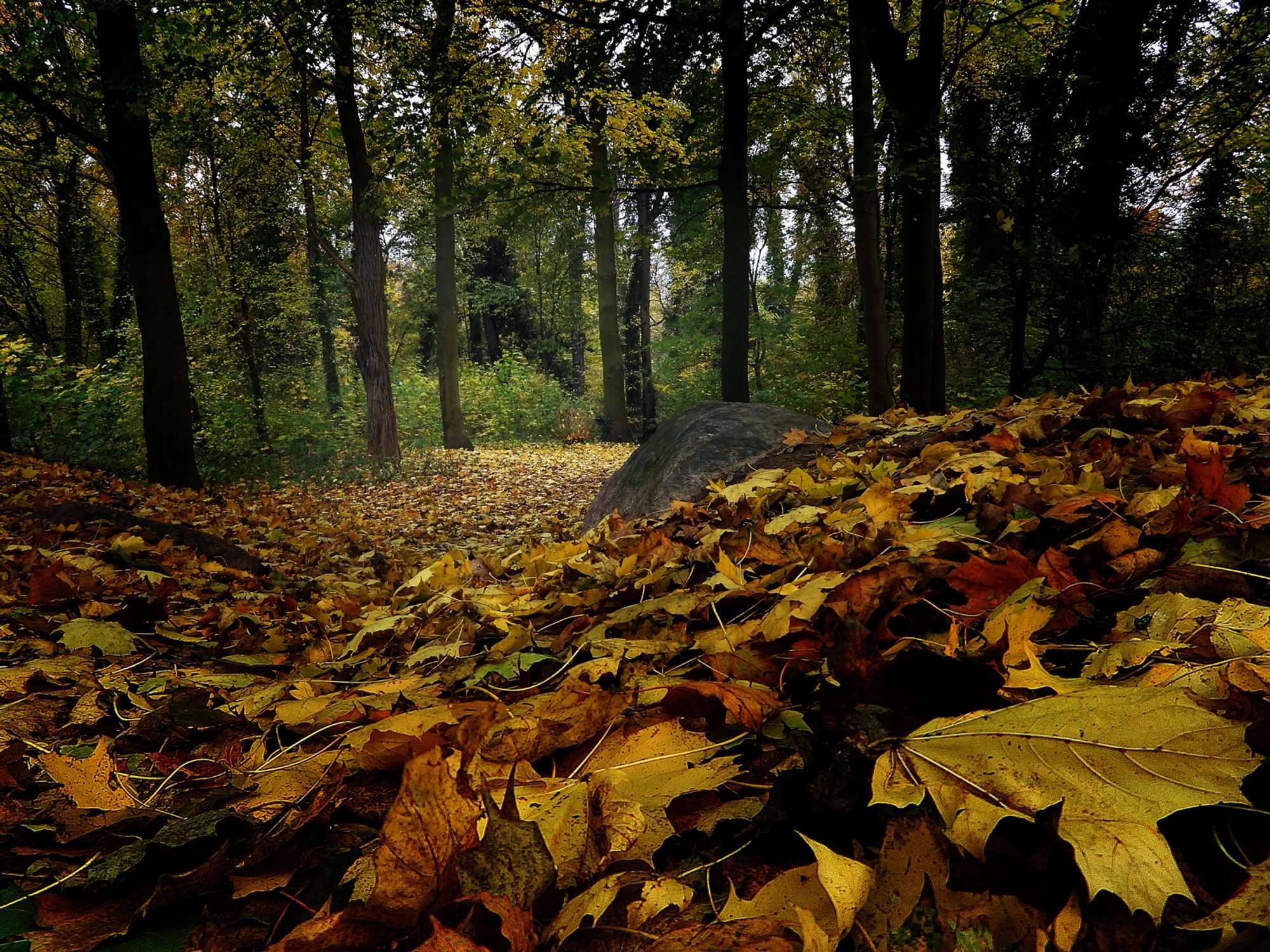 Jesień sprzed dni kilku