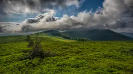 Na Przełęczy Orłowicza