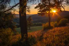Złoty Beskid Niski