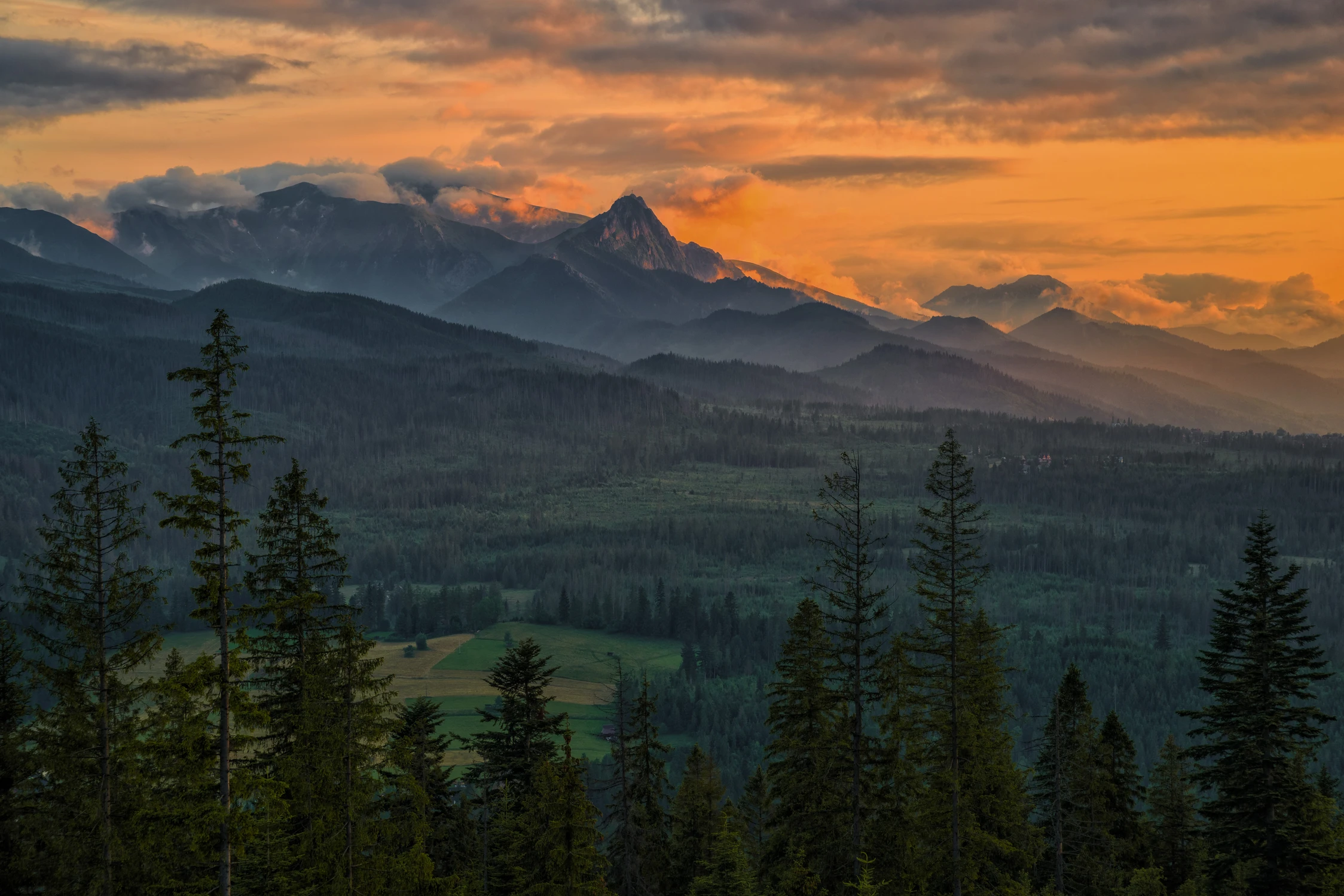 Zanim zaszło słońce