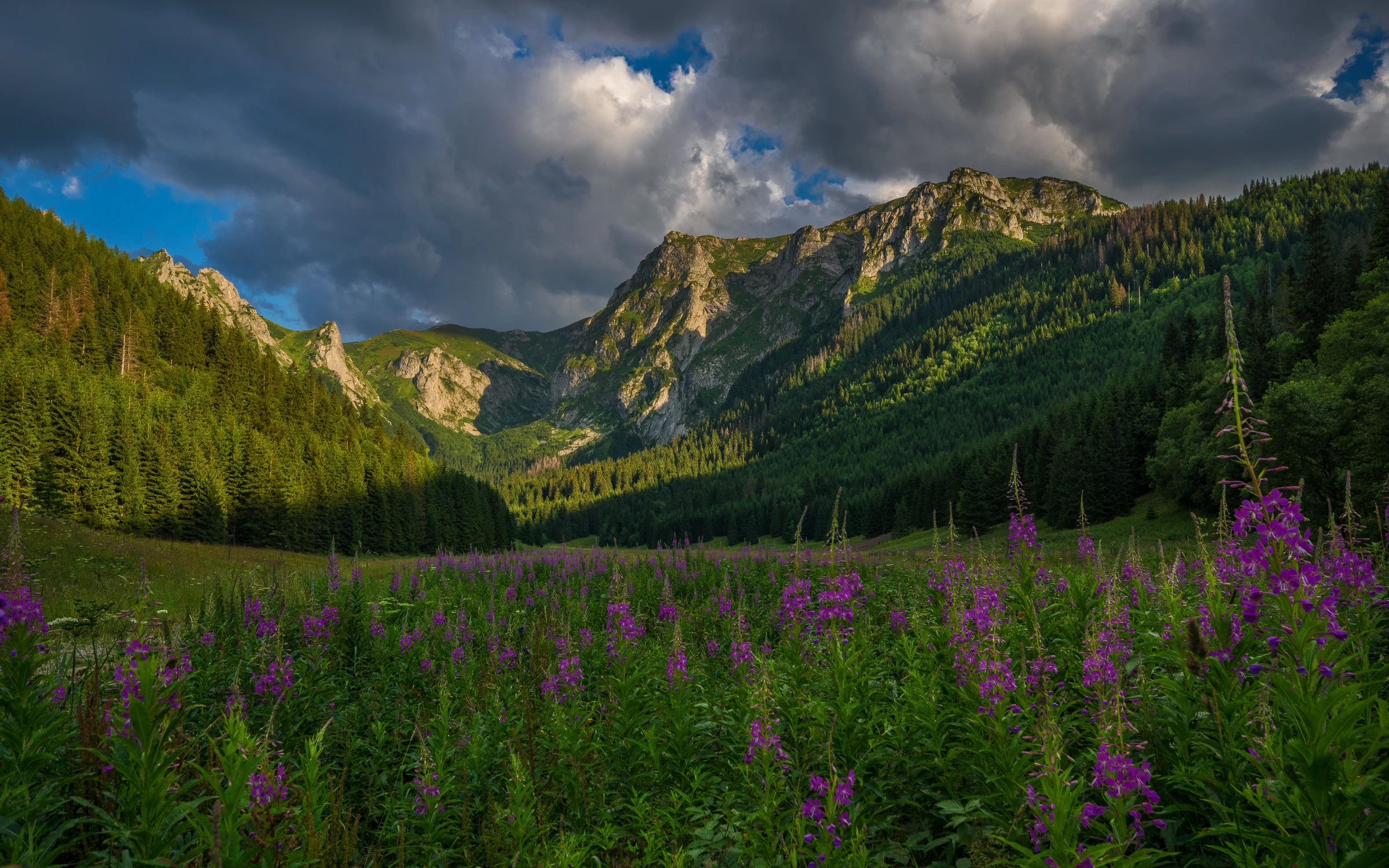 Dolina Małej Łąki