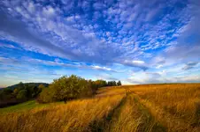 Połoniny Beskidu Niskiego