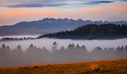 Ku Tatrom
