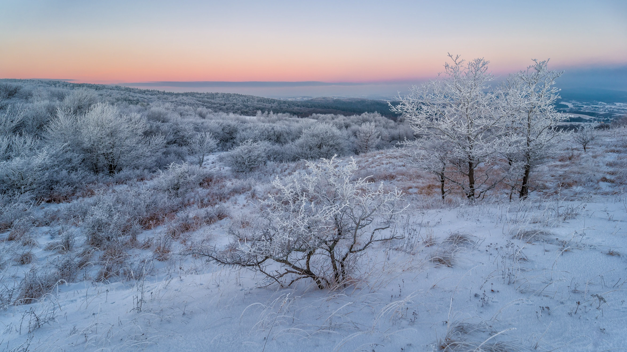 Zanim wzeszło słońce