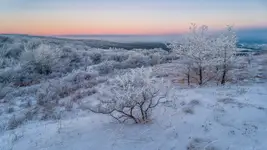 Zanim wzeszło słońce