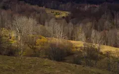 Kolory bieszczadzkiego przedwiosnia