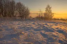 Zimowy Poranek