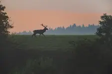 Wrzesień w Beskidzie Niskim