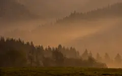 Bieszczadzki poranek