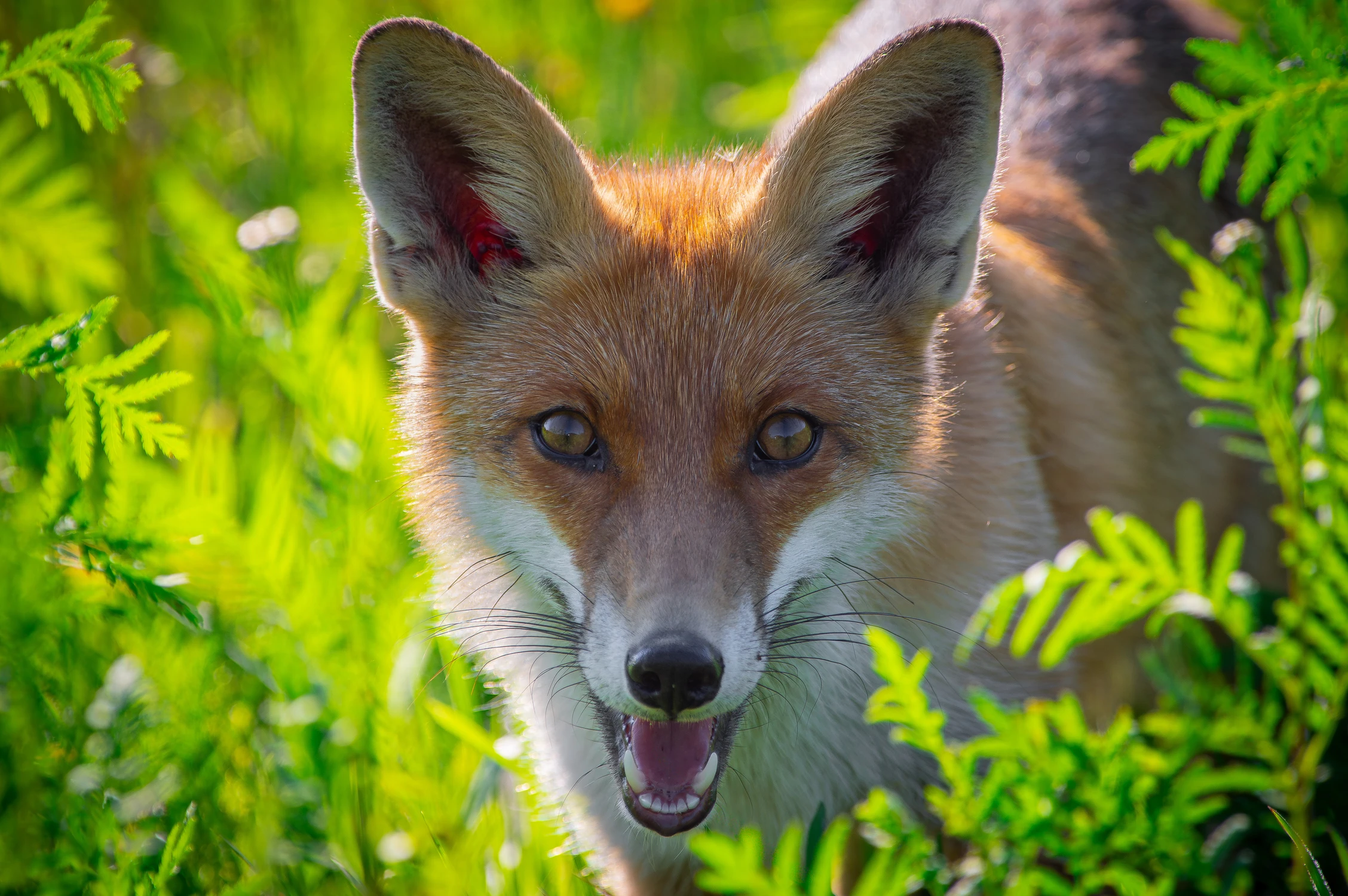 Cześć! Zaprzyjaźnimy się? ;)
