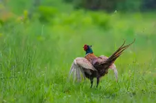 Co za pogoda; ręce opadają!