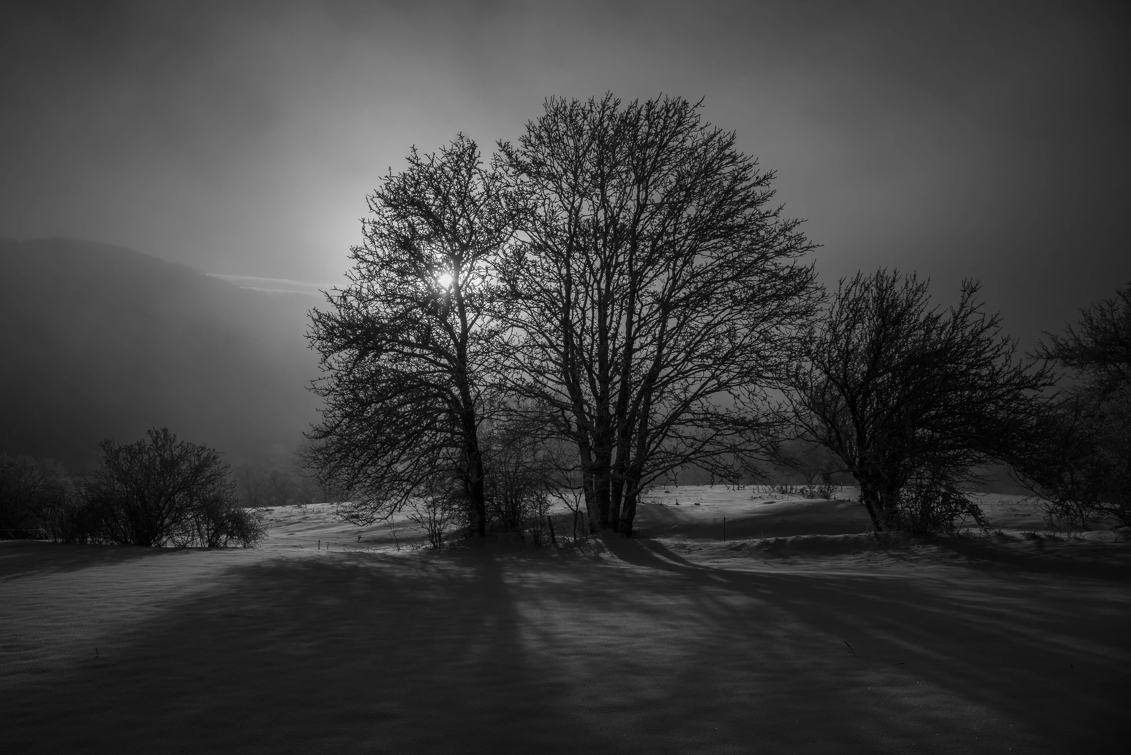 Poranek w Beskidzie Niskim