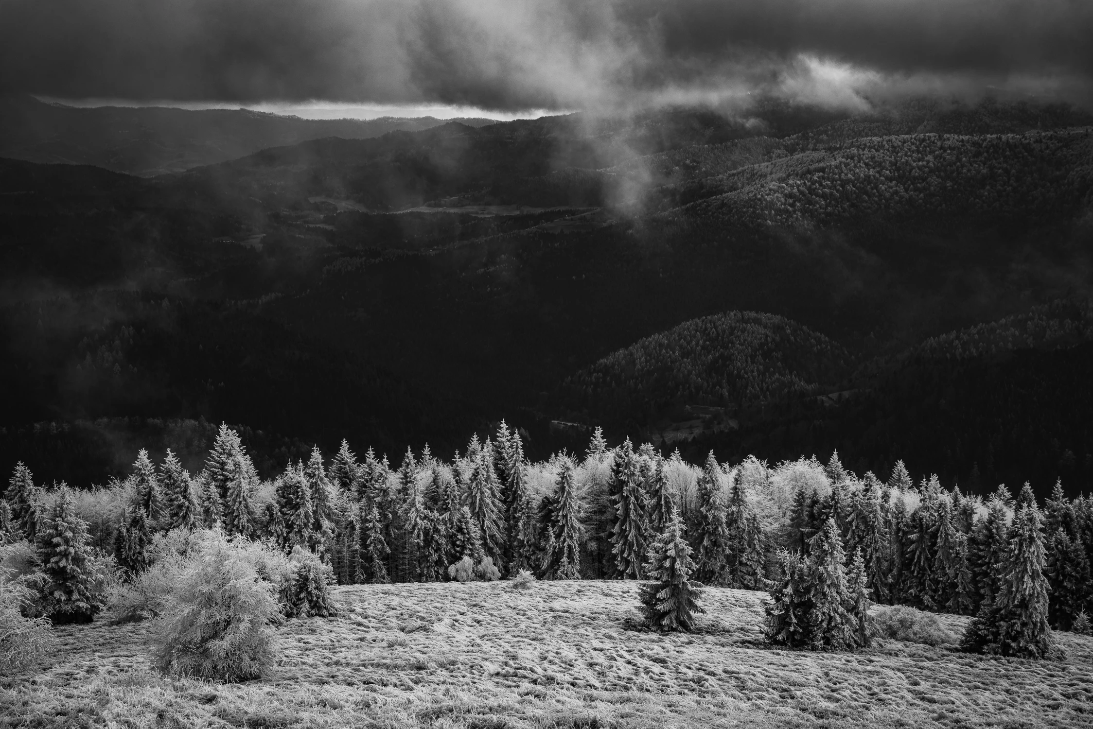 Z Polany Stumorgowej