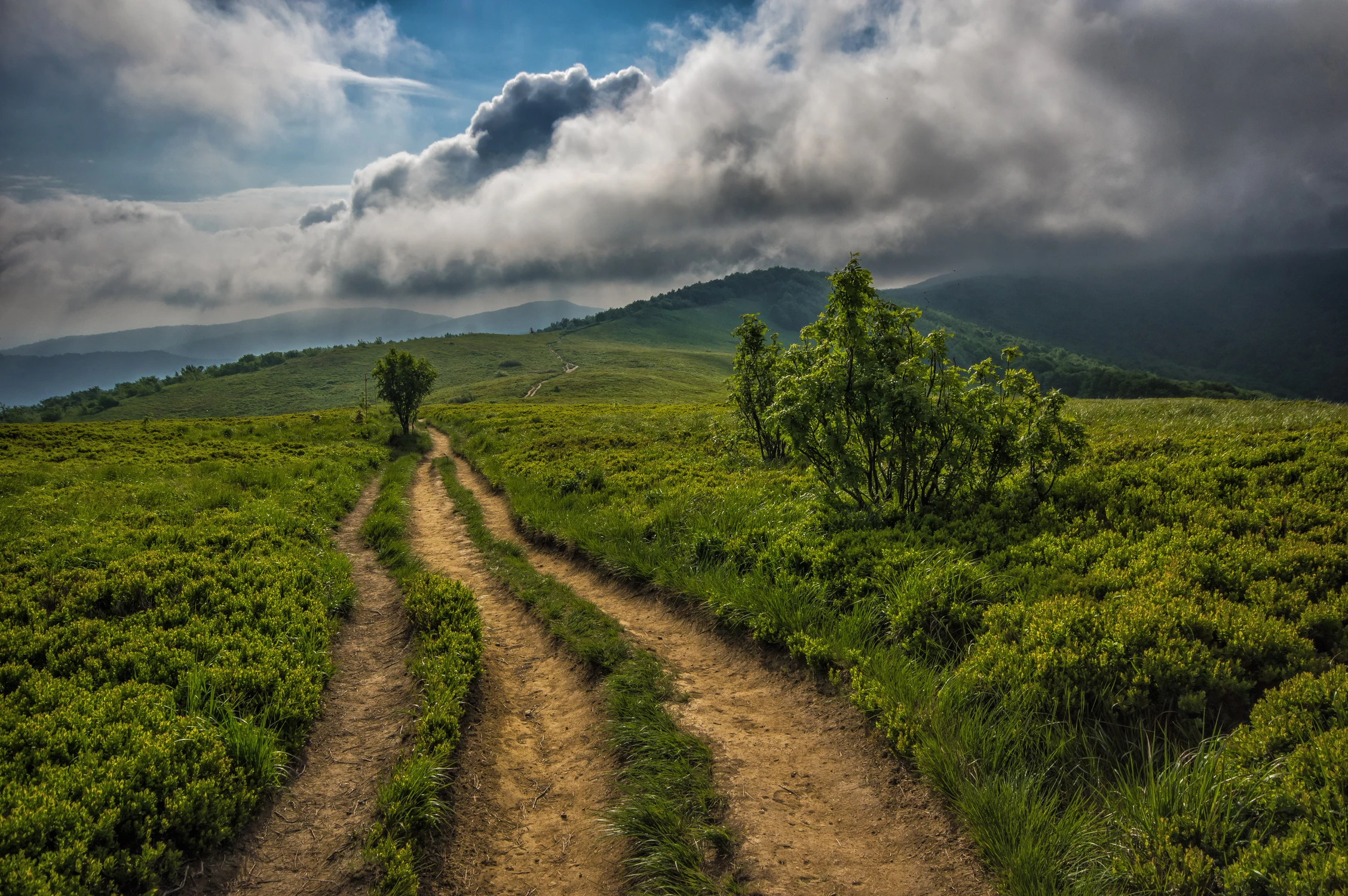 Bieszczadzką ścieżką